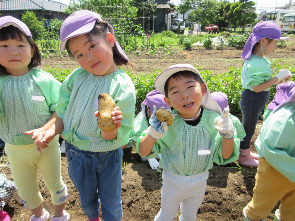じゃがいも掘り🥔年中組